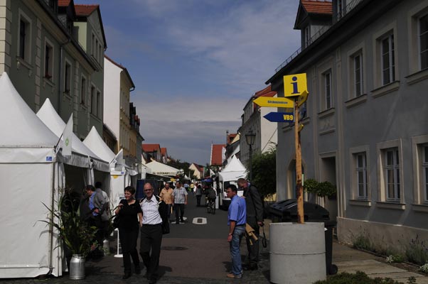 Tag der Sachsen 2008